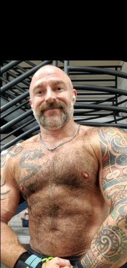 Musclebear Montréal (musclebearmontreal) Leaked Photos and Videos