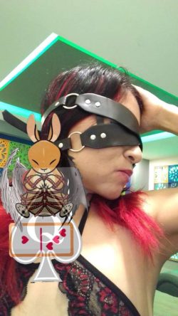 LADY IVONNE BUNNY (ladyivonnebunny) Leaked Photos and Videos