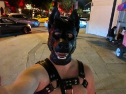 Pup Shadow OnlyFans Leaked Videos & Photos