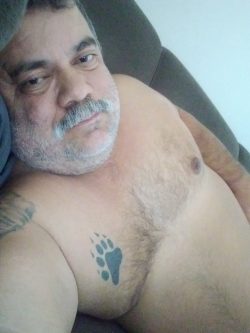 Urso🏳️‍🌈🇧🇷🐻 (southernbear73) Leaked Photos and Videos