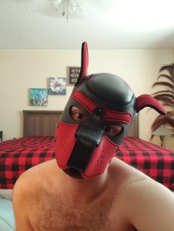 Pupster D (pupsterd) Leaked Photos and Videos