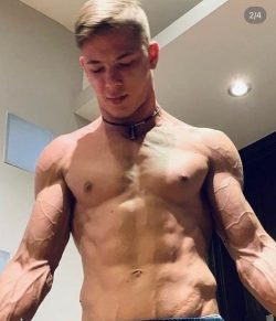 666.  4.6% OnlyFans Leaked Videos & Photos