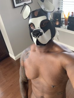 popperluffagus OnlyFans Leaked Videos & Photos