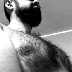 Hairy Teddy 🐻 OnlyFans Leaked Videos & Photos