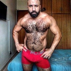 Musclebearbrazil OnlyFans Leaked Videos & Photos