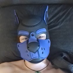 Pup Cojack OnlyFans Leaked Videos & Photos